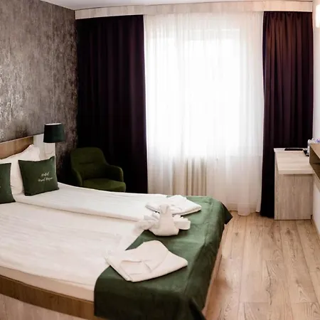 Ursul Negru Guest house 3*