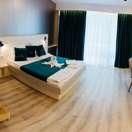 Guest house Ursul Negru 3*