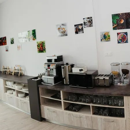 Guest house Ursul Negru
