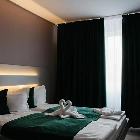 Ursul Negru Guest house