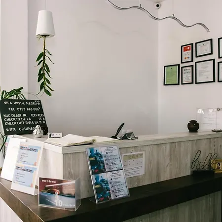 Guest house Ursul Negru 3*