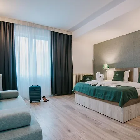 Ursul Negru Guest house Sovata