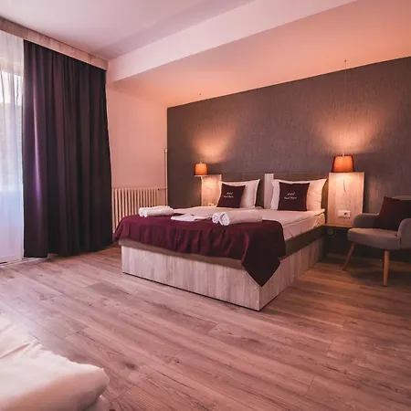 Ursul Negru Guest house 3*