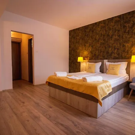 Ursul Negru 3* Sovata