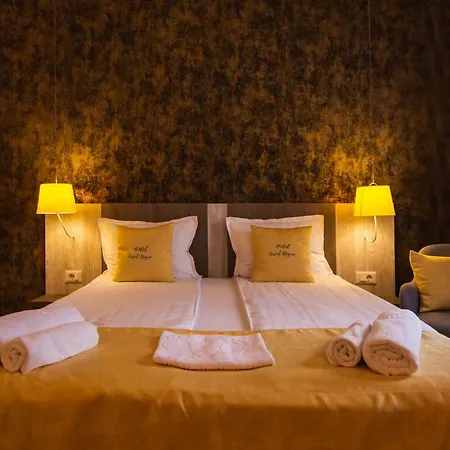 Guest house Ursul Negru Sovata